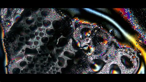 Rare footage of real liquid crystals - YouTube