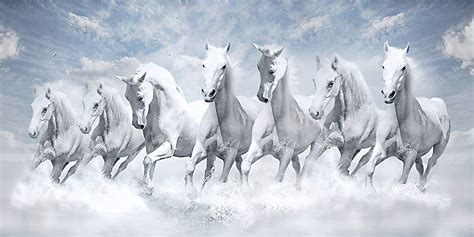 Running White Horse Wallpapers - Top Free Running White Horse ...