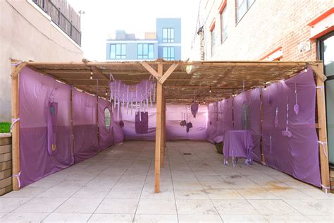 Lavender Diaspora — Hilla Shapira