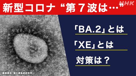 新型コロナ「ba2」「xe」とは？知っておきたいこと｜nhk