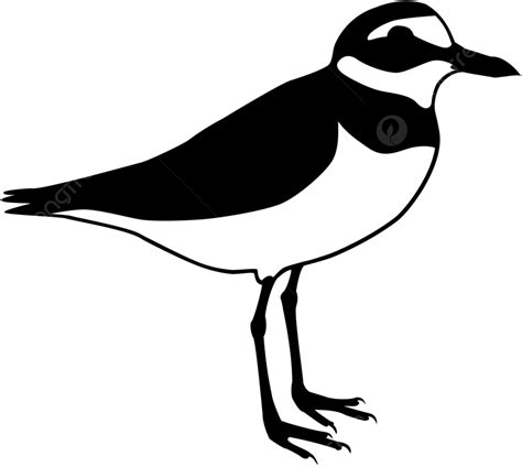 Signs Silhouette Vector Png Plover Black And White Sign Style