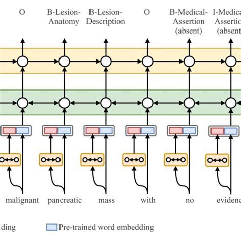 Architecture Of The Bert Ner Model Download Scientific Diagram