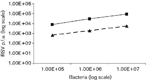 Adhesion Of RSV Virions To NTHi And Pneumococci RSV Virions Were