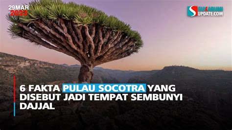 6 Fakta Pulau Socotra Yang Disebut Jadi Tempat Sembunyi Dajjal YouTube