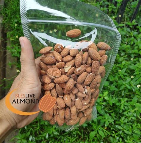 Informasi Harga Kacang Almond Kg Per Kilo Per Kg