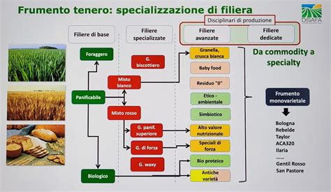 Sovranità alimentare basta polemiche valorizziamo le filiere italiane