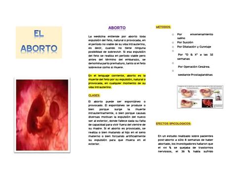 Aborto Ppt Descarga Gratuita