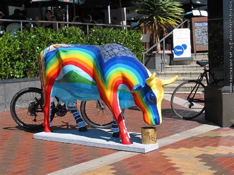 auckland  zealand cows  parade  rainbow   life