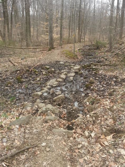 Horseshoe Trail Warwick Park Mountain Bike Trail In Saint Peters