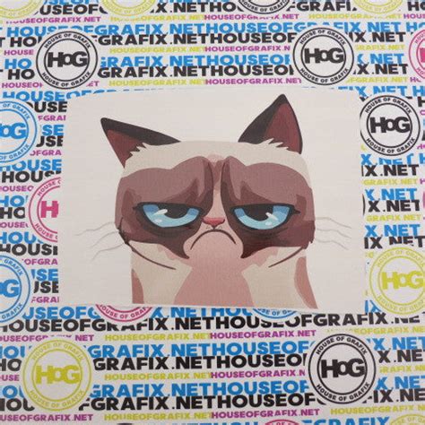 grumpy cat Decal – House Of Grafix