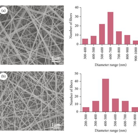 Sem Images Of Electrospun Nanofibers A Pcl And B Pcl Cpm