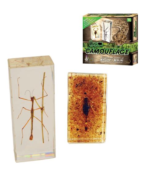 Discover With Dr Cool The Bug Kingdom Camouflage Kit Think Blue Marble