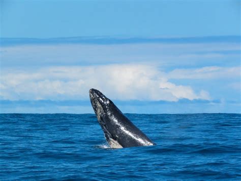 Unesco Designates 11 New Biosphere Reserves Asia Pacific Boating