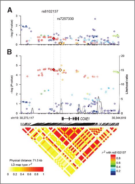 Association Results Ld R And Recombination Plots Of The Ccne