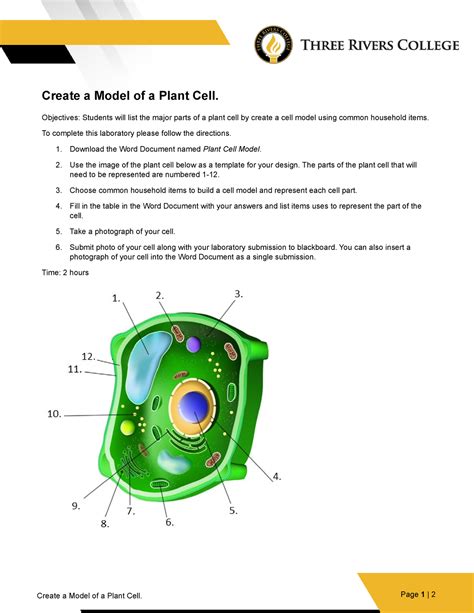 Plant Cell Model Lab Create A Model Of A Plant Cell Objectives