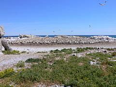 Category:Bird Island (South Africa) - Wikimedia Commons