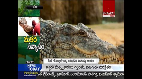 Meet Babiya The Vegetarian Crocodile Who Guards A Temple Kerala