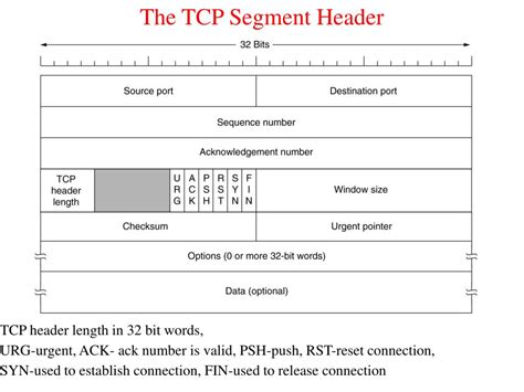 Ppt The Tcp Segment Header Powerpoint Presentation Free Download Id372343