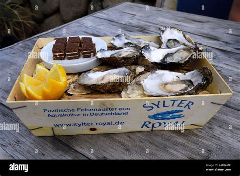 Frische Austern Sylter Royal Serviert Im Traditionellen Spankorb