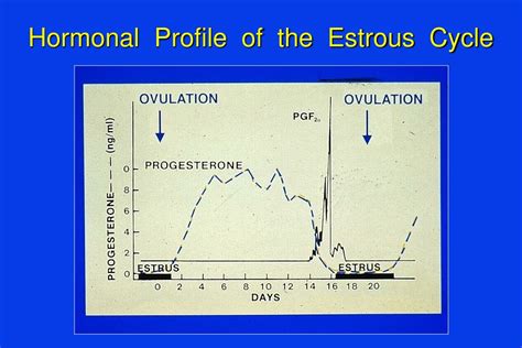 Ppt Avs 222 Mare Reproductive Physiology And Management Powerpoint