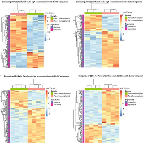 Pdac Subtype Classification According To Previously Identified