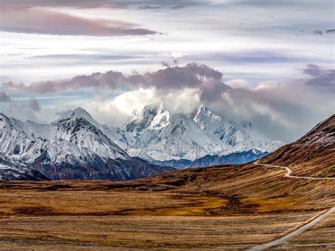 The Ultimate Guide To Denali National Park Travel The Food For The Soul