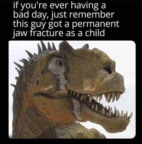 In This House We Love Broken Jaw Allosaurus 😤 Rprehistoricmemes