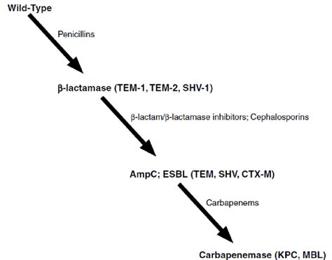 4 The Evolution Of β Lactamases Reprinted 13 Esbl Extended Spectrum