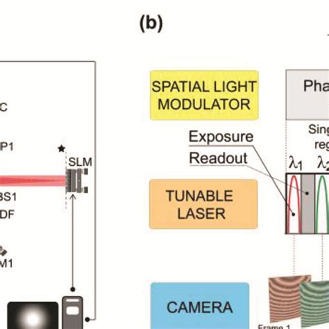 Full Field Swept Source Optical Coherence Tomography Supplemented By