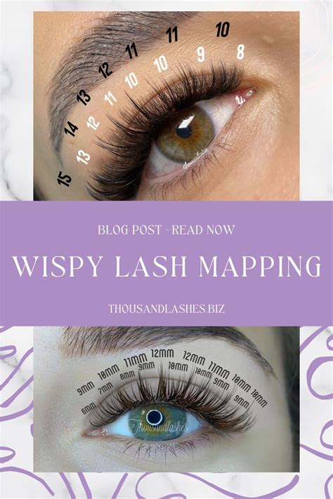 A Comprehensive Guide To Lash Mapping Lashes Whispy Lashes Eyelash