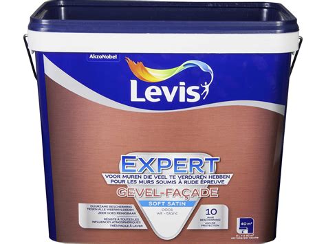 Levis Expert Muurverf Gevel Zijdeglans 5l Wit Hubo