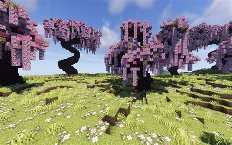 Cherry Tree pack Minecraft Map