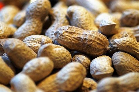 Mitos Atau Fakta Kacang Bisa Bikin Jerawatan Ini Kata Dermatolog