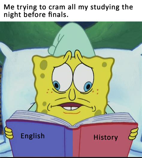 Spongebob Studying Meme