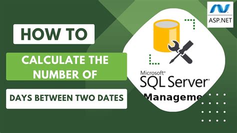 Mastering Date Calculations In Sql Server How To Calculate The Number Of Days Between Two Dates