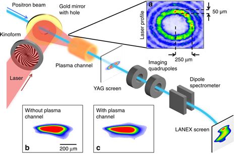 Demonstration Of A Positron Beam Driven Hollow Channel Plasma Wakefield