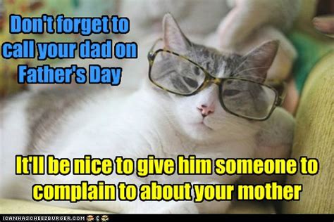 Lolcats Mom Page 3 Lol At Funny Cat Memes Funny Cat Pictures