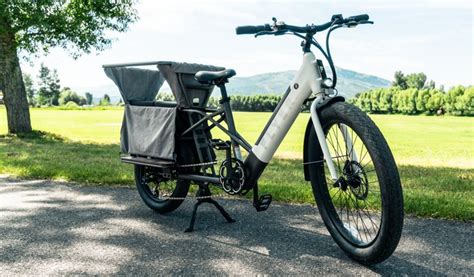 Flyer L885 Cargo Family E-Bike Review - Mountain Weekly News