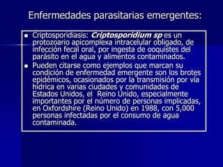 Reseña histórica de la parasitología PPT Descarga Gratuita