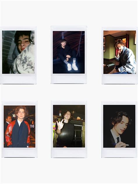 Timoth E Chalamet Cute Polaroid Stickers