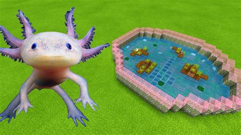 Minecraft Axolotl Enclosure Ideas