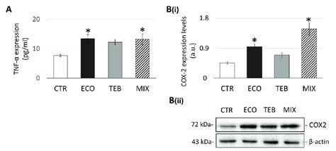 Differential Up Regulation Of Tnf And Cox Expression By Azoles In