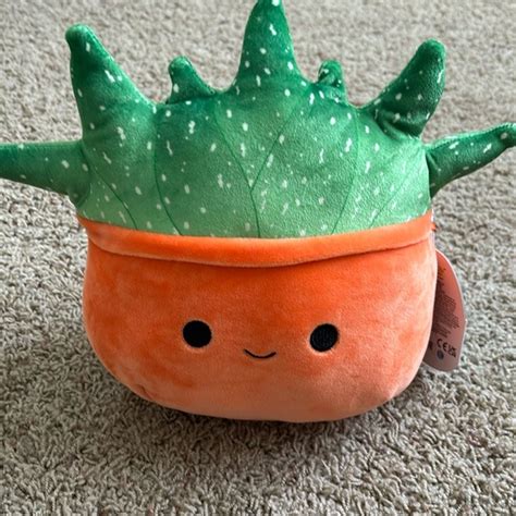 Squishmallows Toys New Oz The Succulent 8 Squishmallow Poshmark