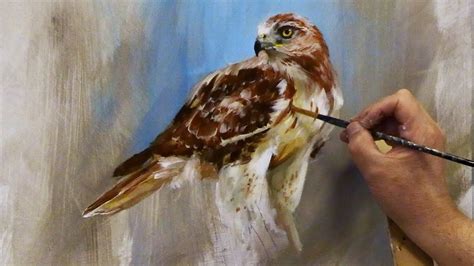 Painting The Coopers Hawk Paint It Simply Youtube