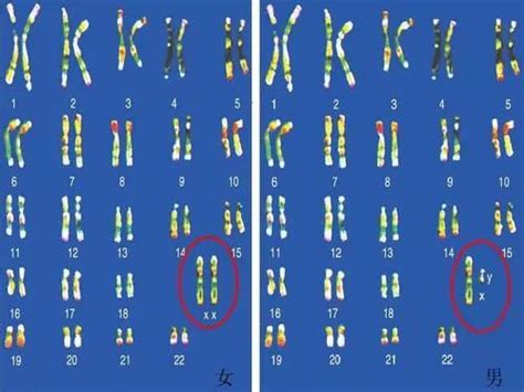 生殖医学科 发生过一次胚胎染色体异常，下次备孕要注意什么？健康科普南京医科大学附属泰州人民医院