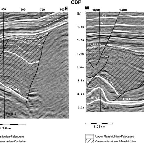 Generalized Stratigraphic Column For The Lower Congo Basin The Seismic