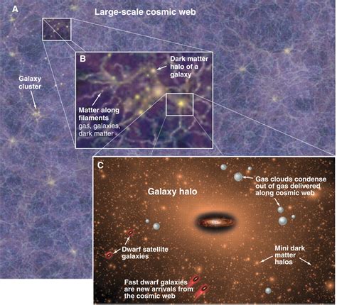 The Cosmic Web In Our Own Backyard Science