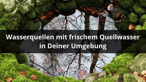 Wasserquellen Mit Frischem Quellwasser In Deiner Umgebung