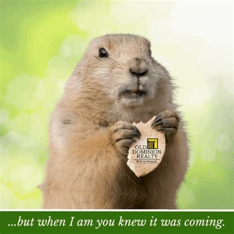 knew   coming gifs    gif  giphy