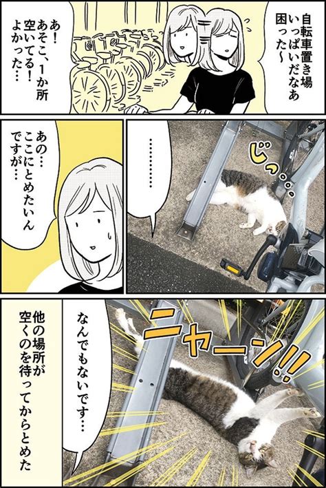 ＜画像38 55＞「手首まで口の中に突っこんであげてください」セイウチに餌やり 初めてわかった唇の触感に爆笑 【おひとりさまを楽しむ作者に聞く】｜ウォーカープラス